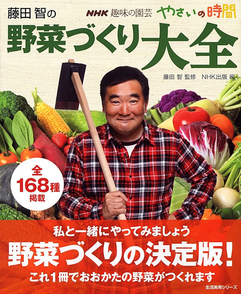 【中古】 畑を借りて野菜を作ろう 市民農園ライフ/日経ＢＰ企画/藤田智 中古】 畑を借りて野菜を作ろう 市民農園ライフ/日経BP企画/藤田
